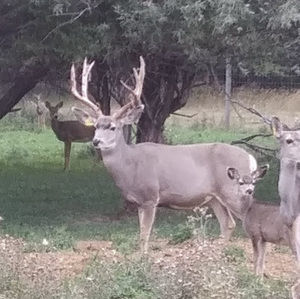 Meet your Posher, Lillian